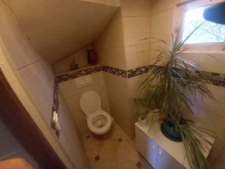 Remplacement de la faïence dans des toilettes