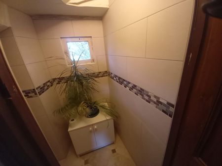 Remplacement de la faïence dans des toilettes